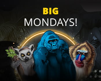 Promotion image
