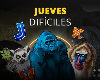 Promotion image