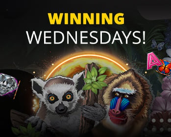 Promotion image