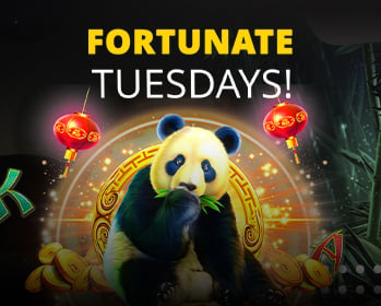 Promotion image