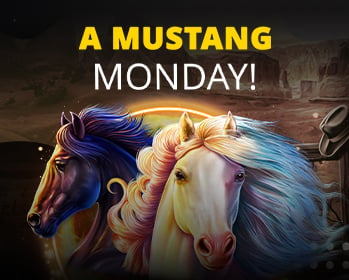 Promotion image