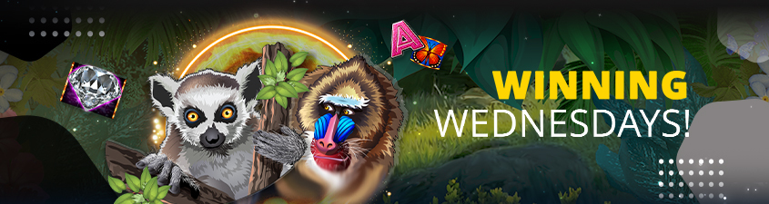 Promotion image