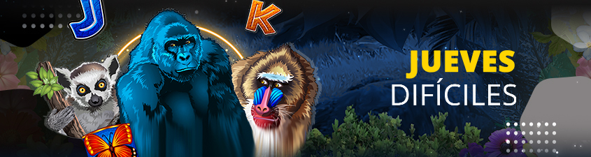 Promotion image