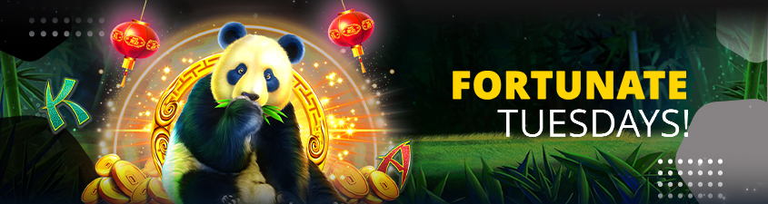 Promotion image