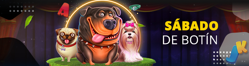 Promotion image