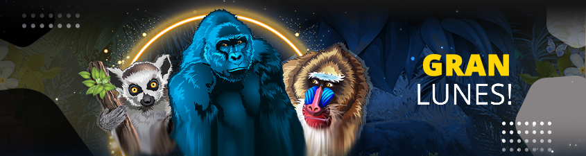 Promotion image