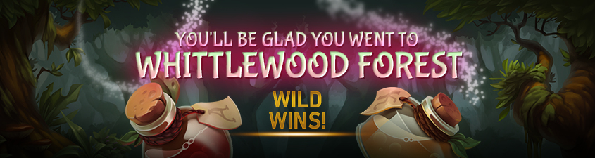 Promotion image