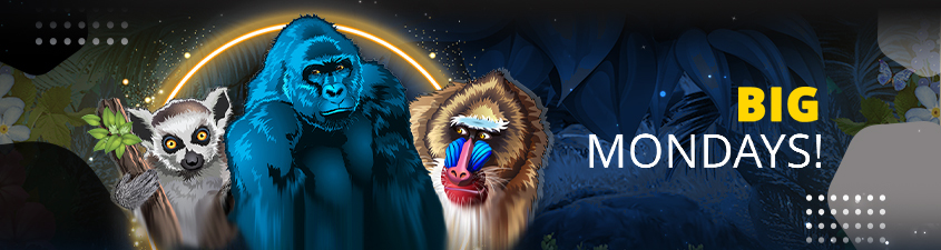 Promotion image
