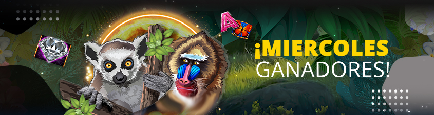 Promotion image
